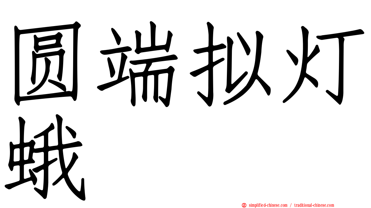 圆端拟灯蛾
