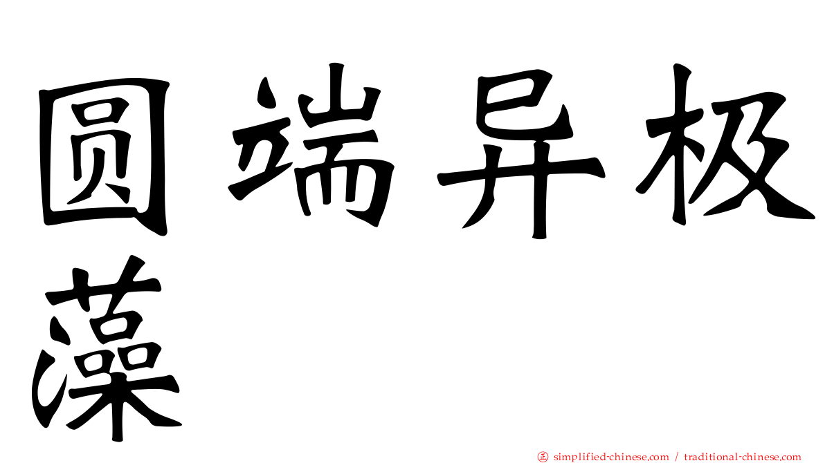 圆端异极藻