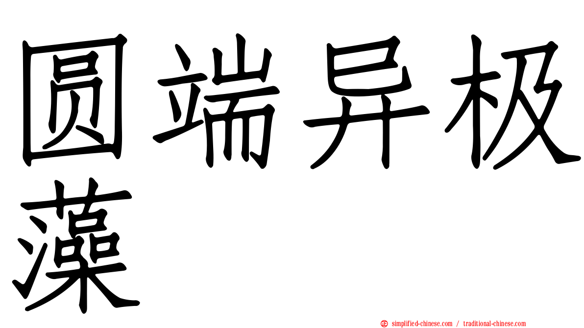 圆端异极藻