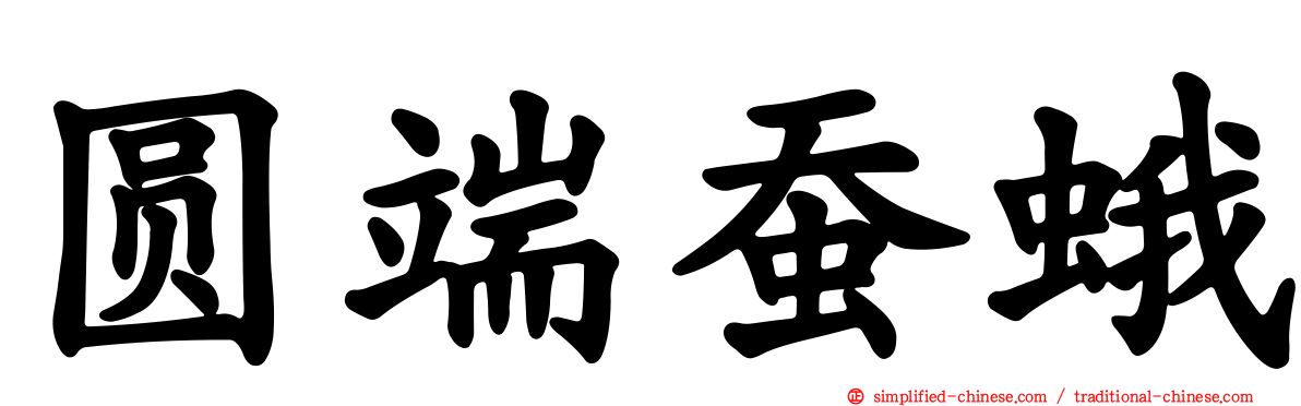 圆端蚕蛾