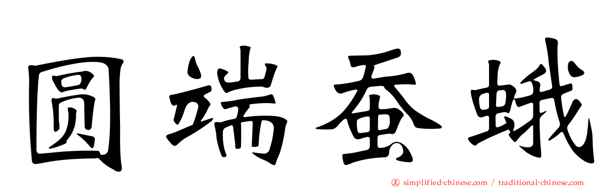 圆端蚕蛾