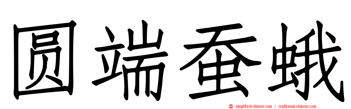 圆端蚕蛾