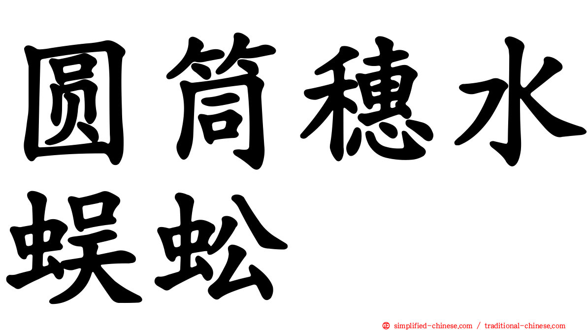 圆筒穗水蜈蚣