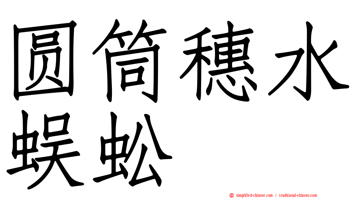 圆筒穗水蜈蚣