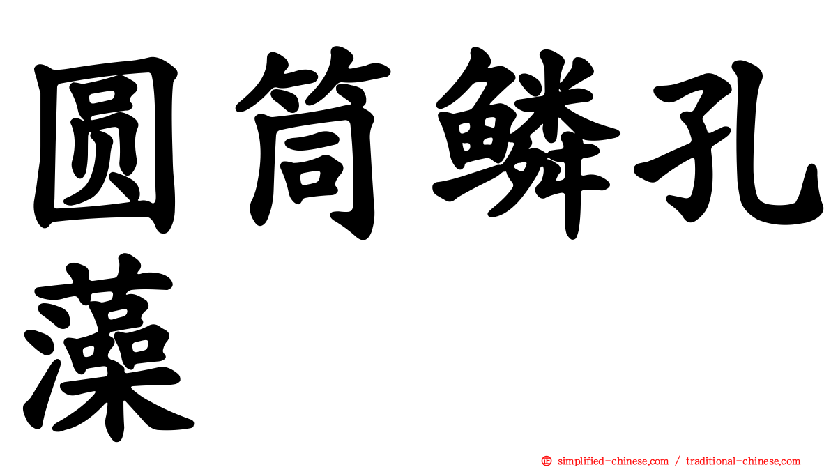 圆筒鳞孔藻