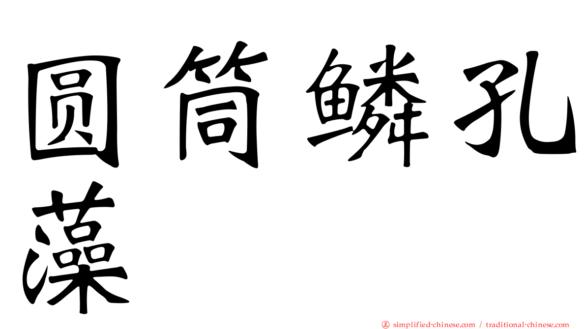 圆筒鳞孔藻