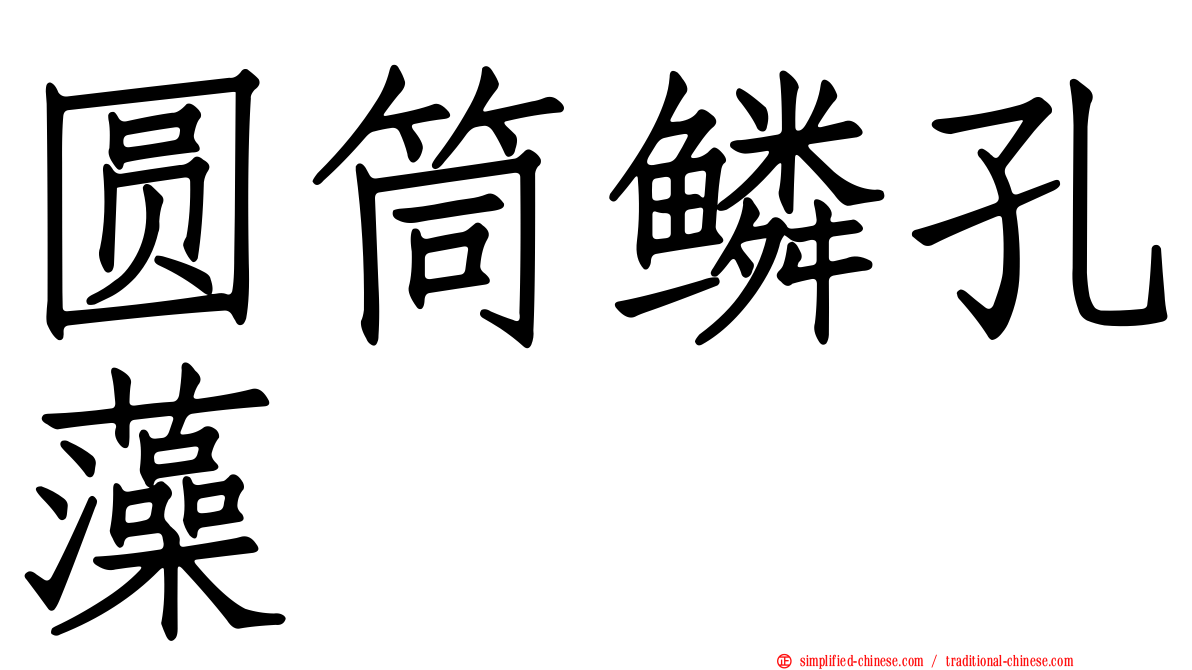 圆筒鳞孔藻