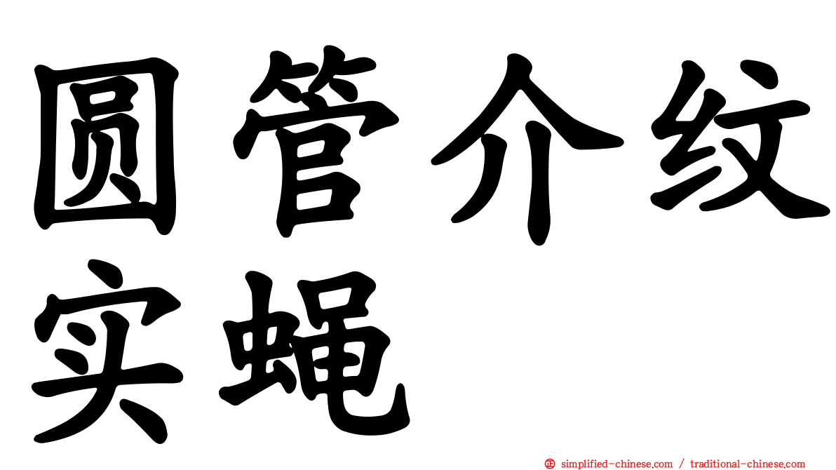 圆管介纹实蝇
