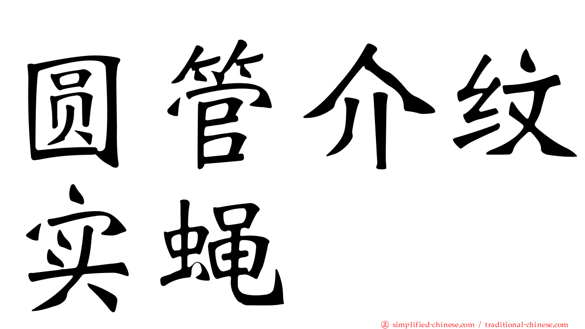 圆管介纹实蝇