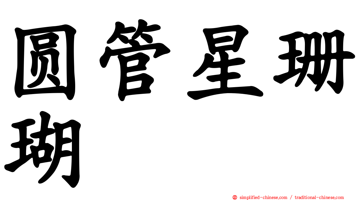 圆管星珊瑚