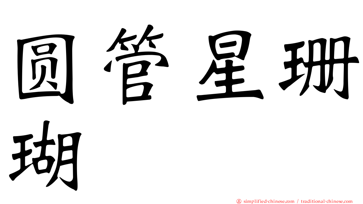 圆管星珊瑚