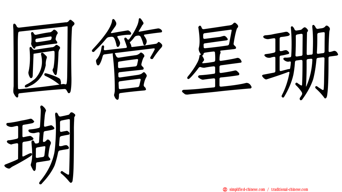 圆管星珊瑚