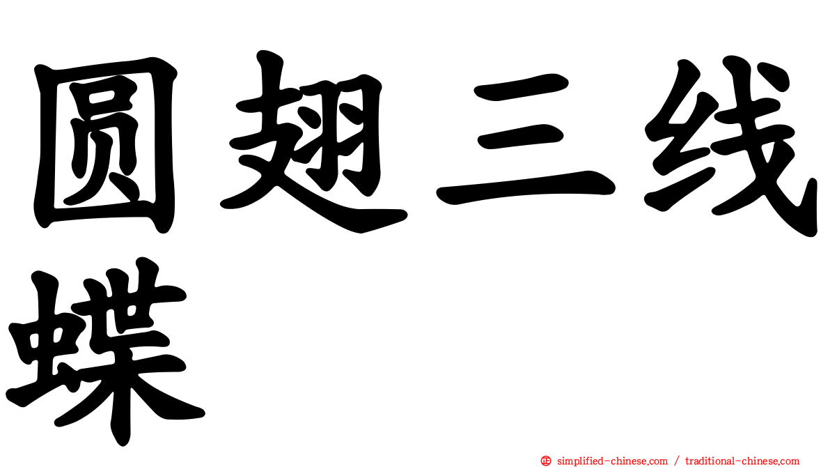 圆翅三线蝶