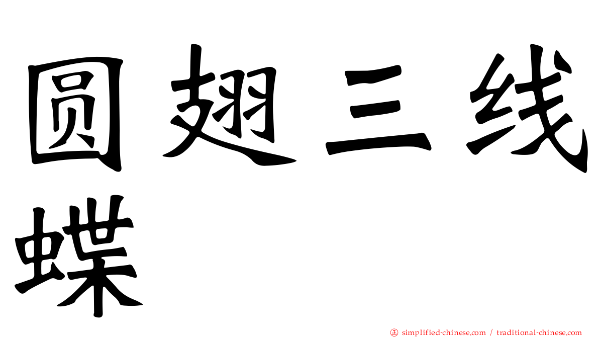 圆翅三线蝶