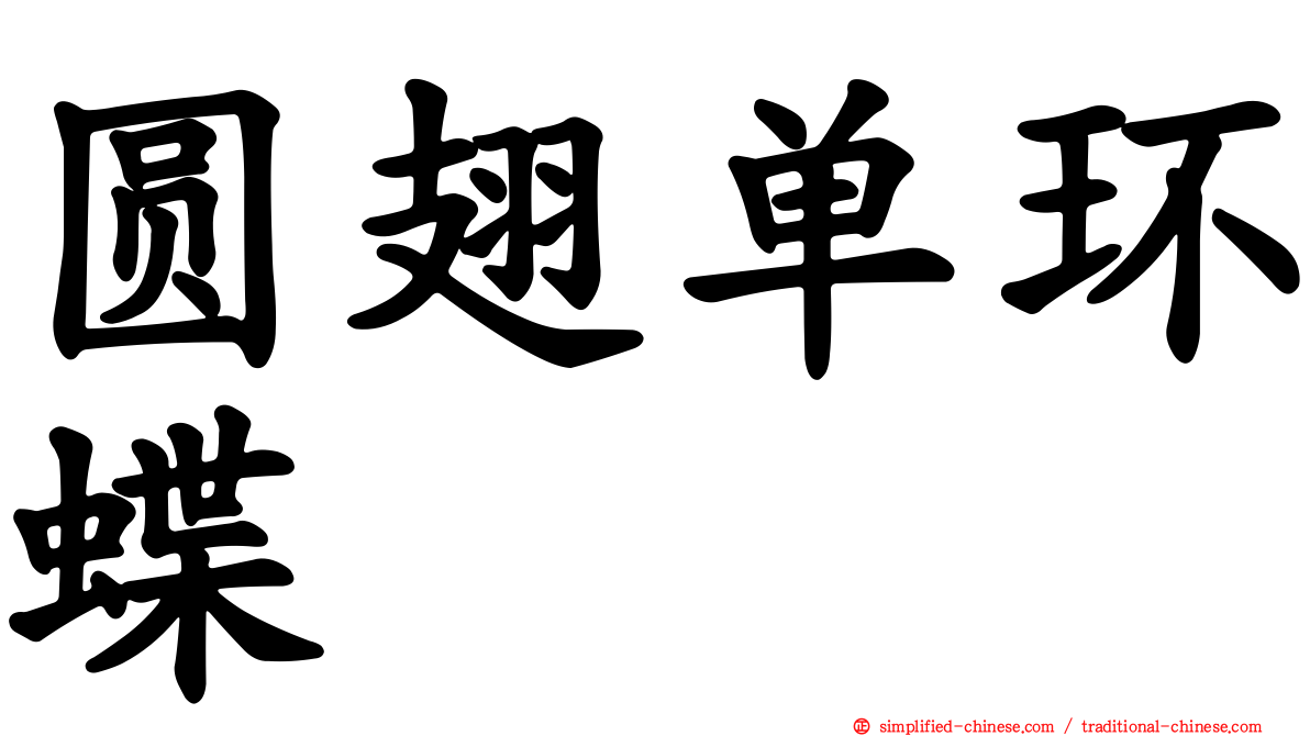 圆翅单环蝶