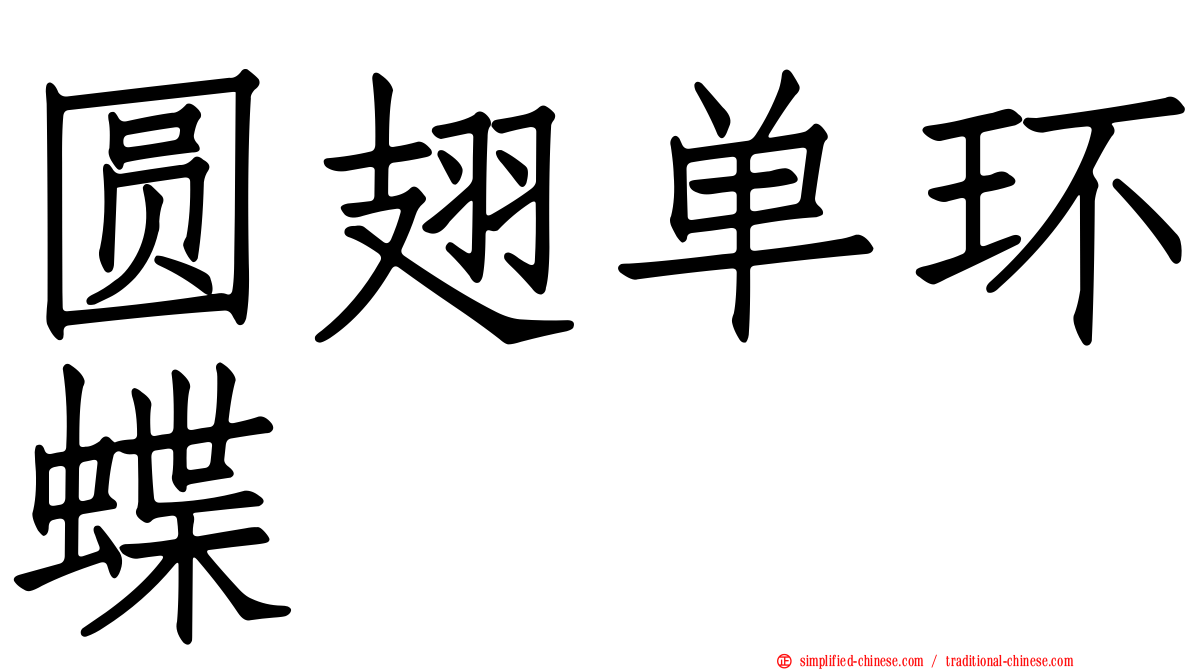 圆翅单环蝶