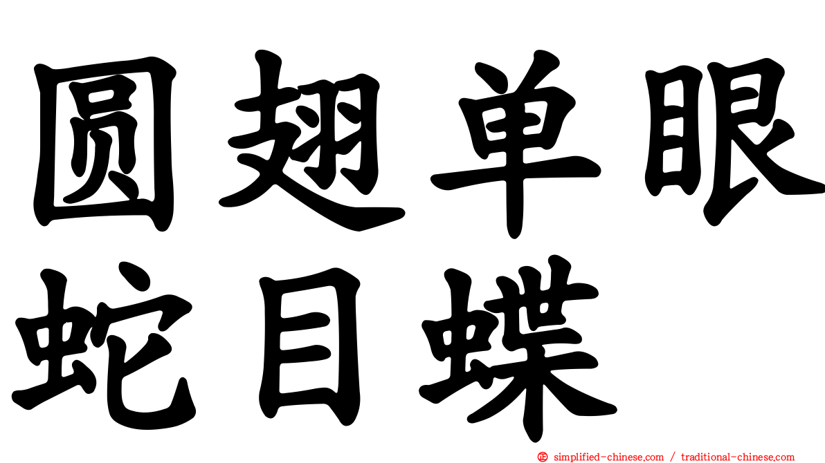 圆翅单眼蛇目蝶