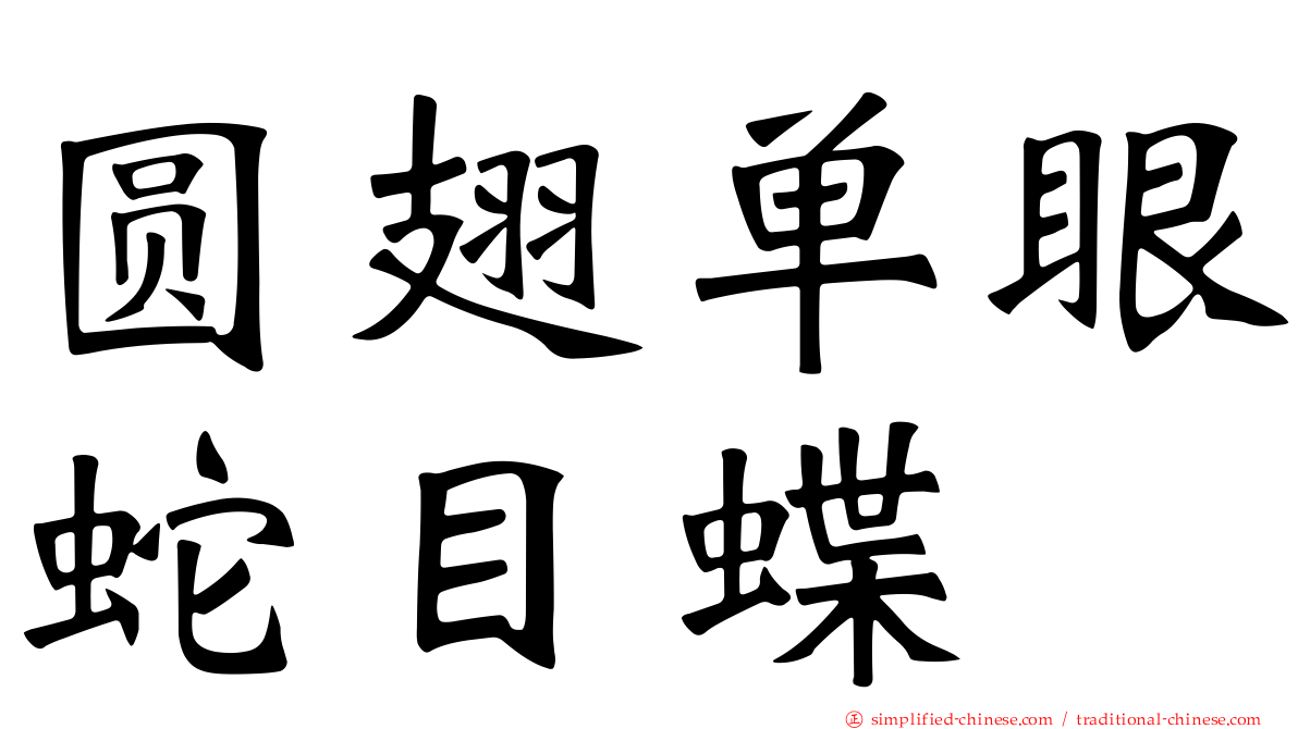 圆翅单眼蛇目蝶