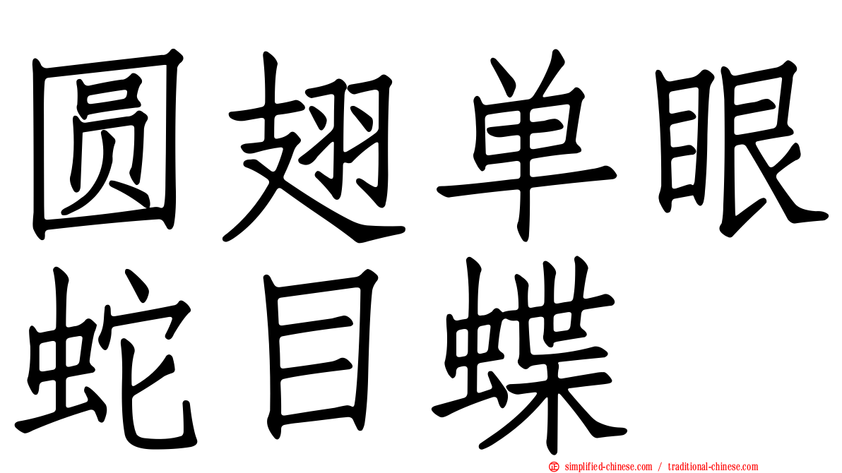 圆翅单眼蛇目蝶