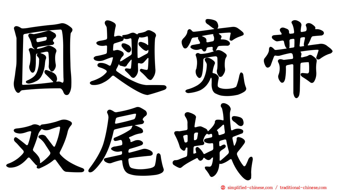 圆翅宽带双尾蛾