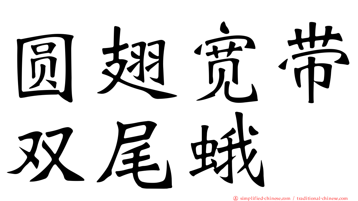 圆翅宽带双尾蛾