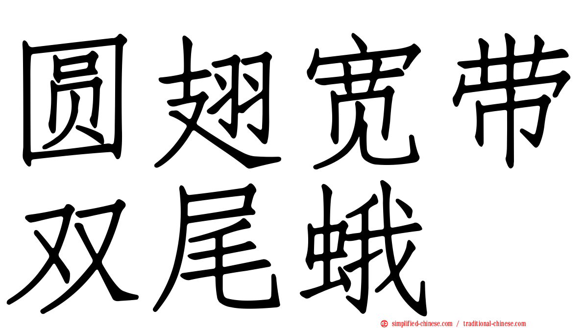 圆翅宽带双尾蛾