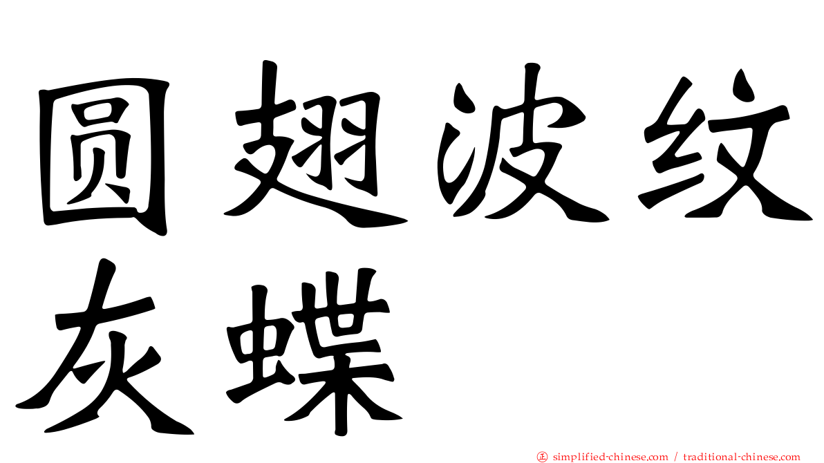 圆翅波纹灰蝶