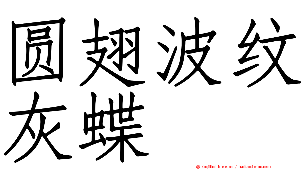 圆翅波纹灰蝶