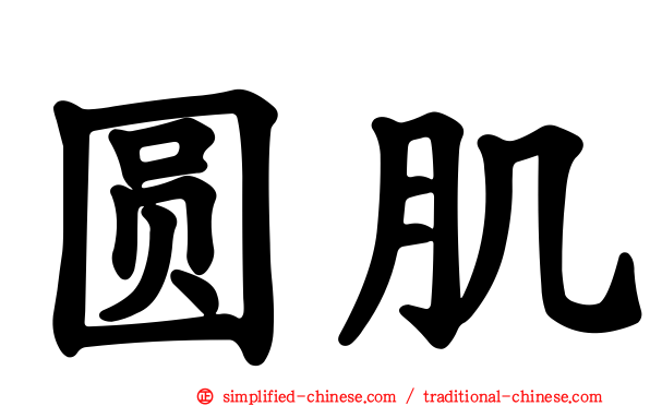 圆肌