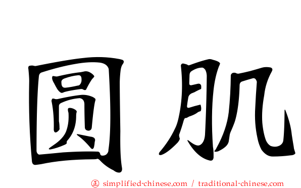 圆肌