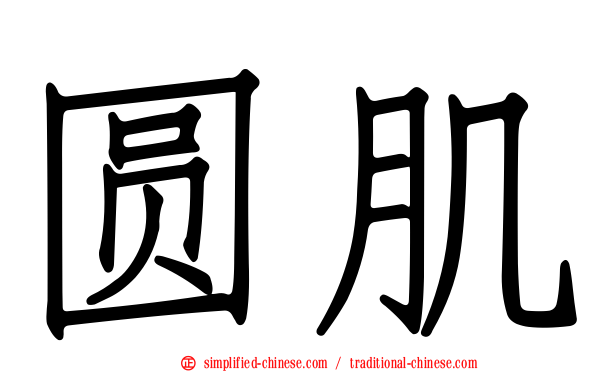 圆肌