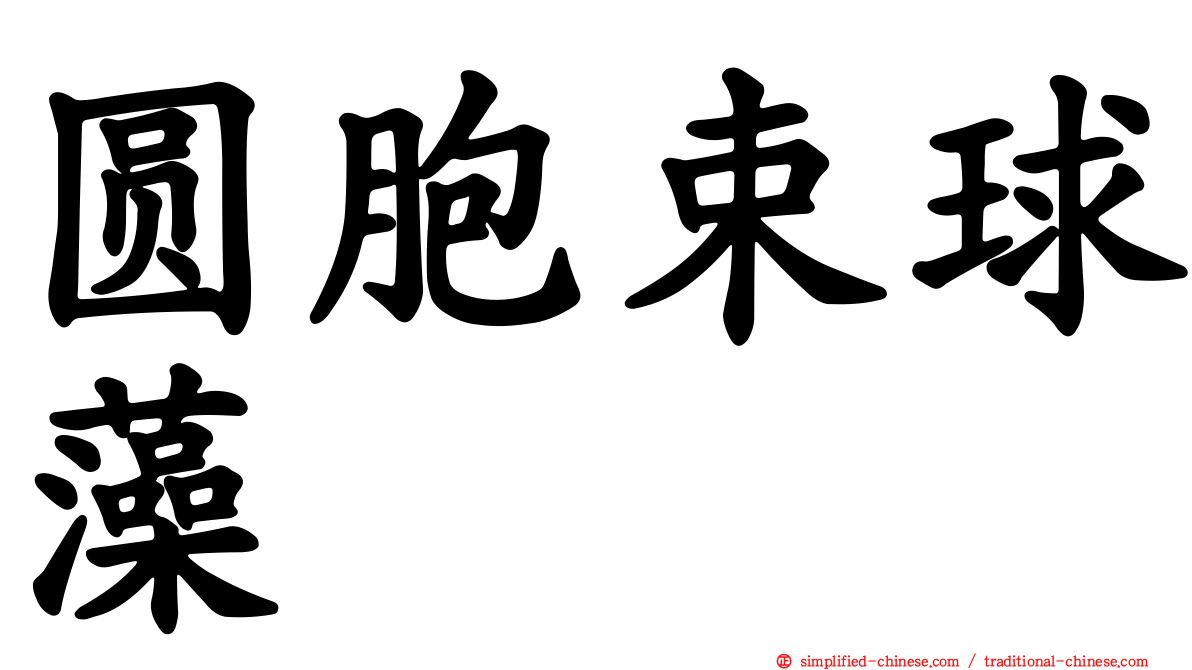 圆胞束球藻