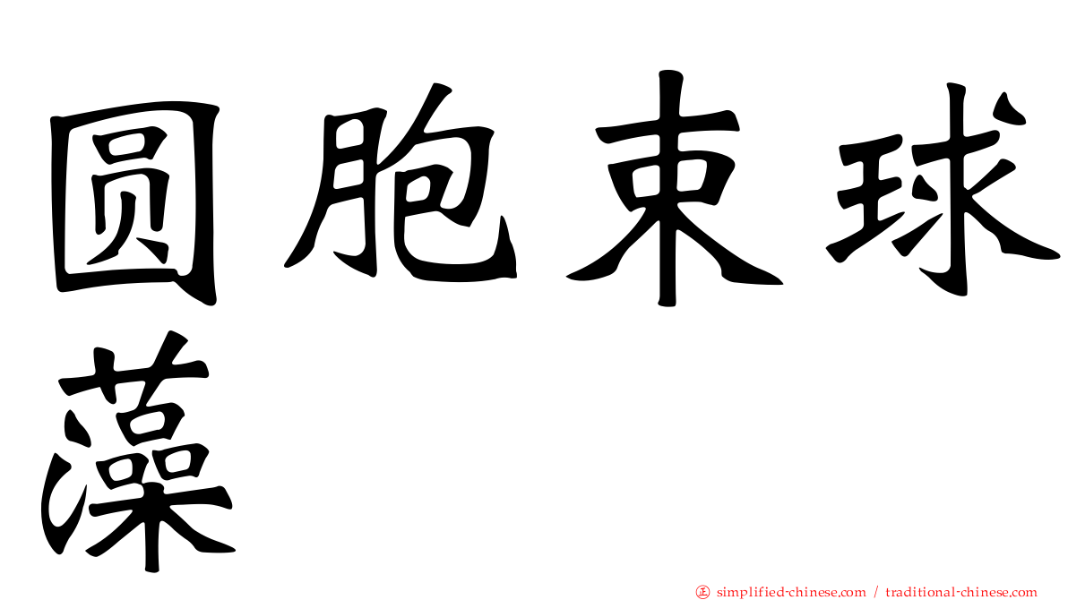 圆胞束球藻