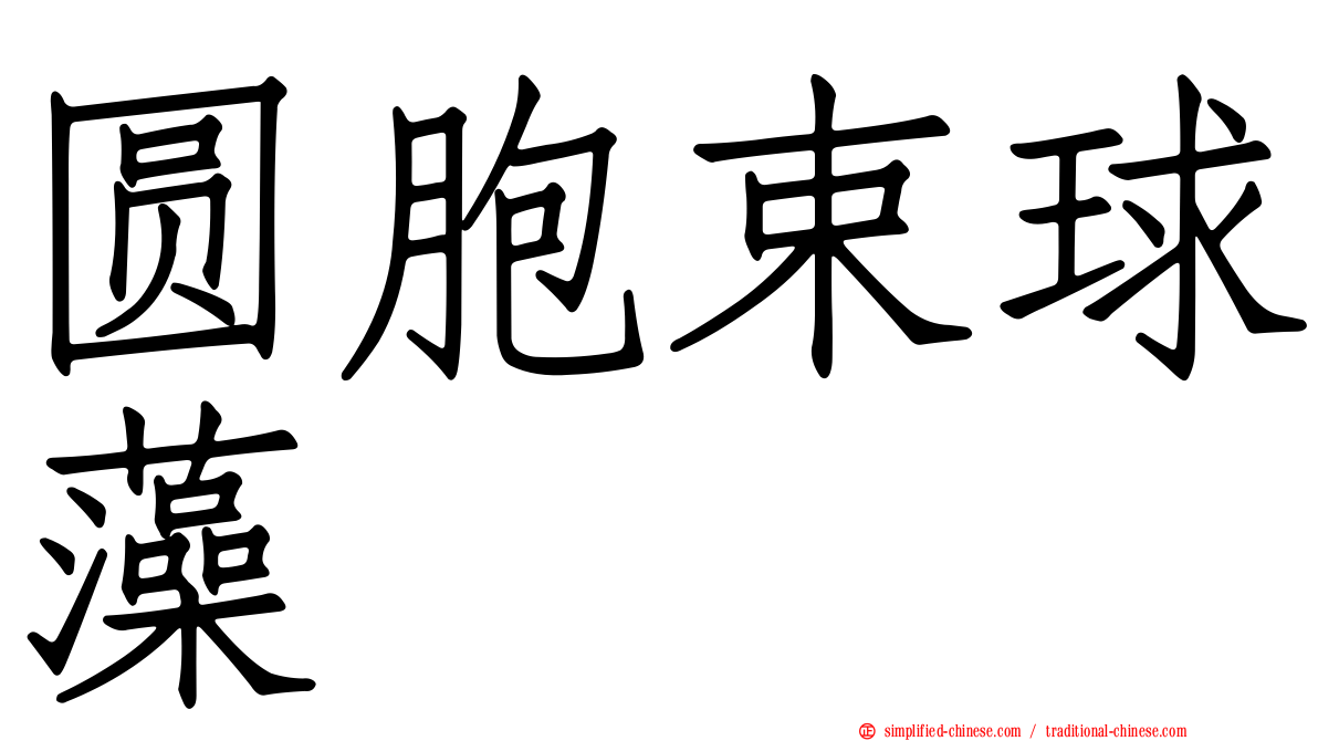 圆胞束球藻