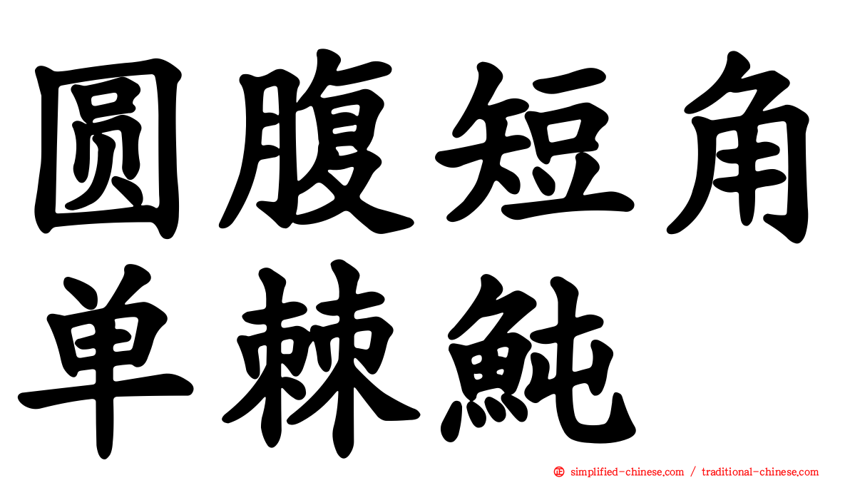 圆腹短角单棘鲀