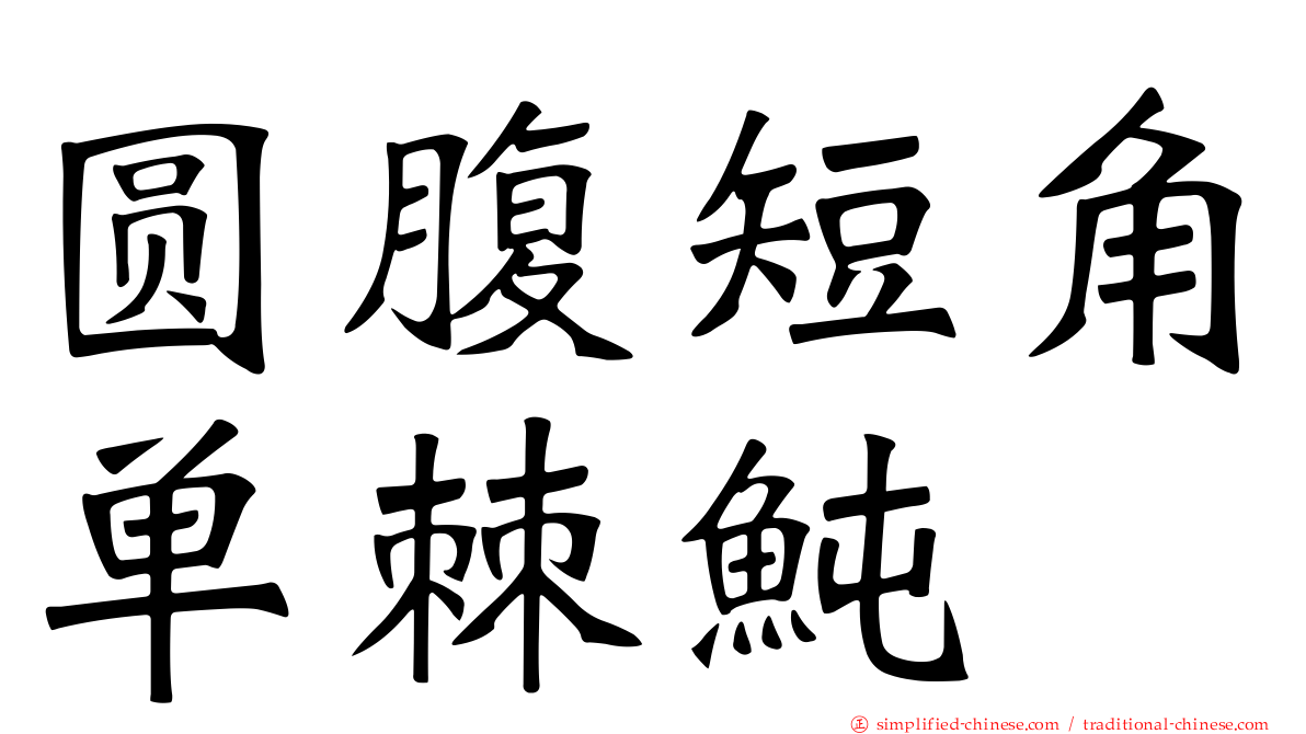圆腹短角单棘鲀