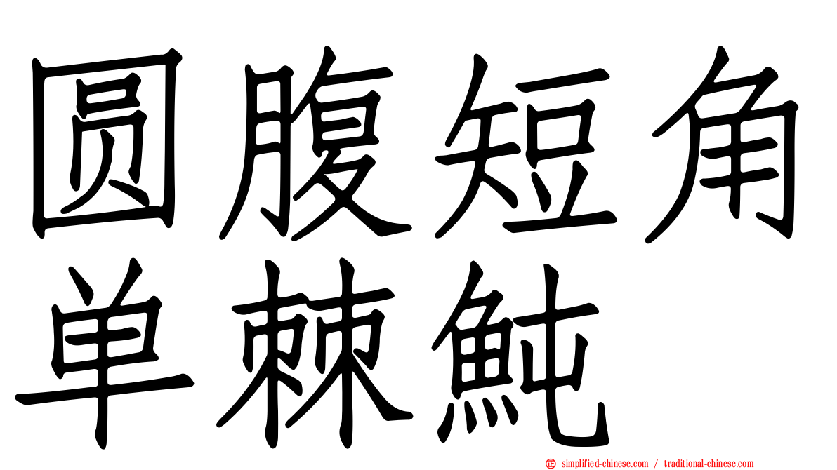 圆腹短角单棘鲀
