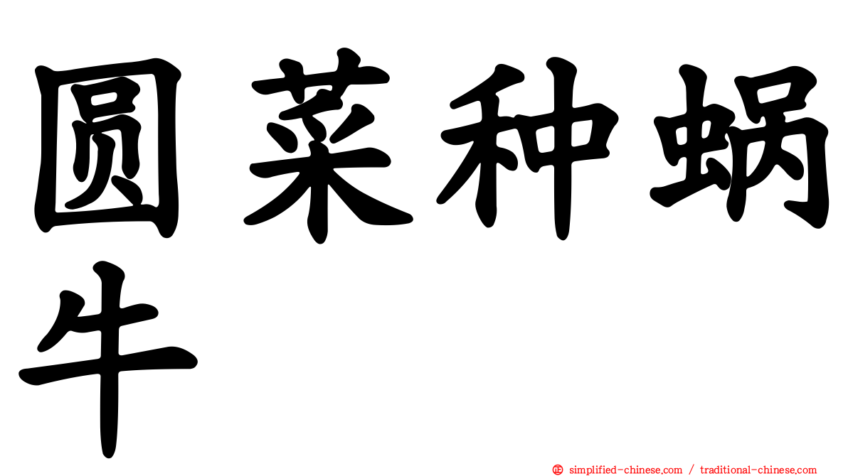 圆菜种蜗牛