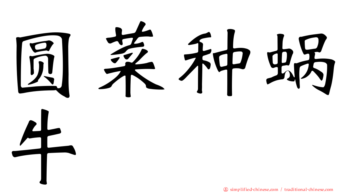 圆菜种蜗牛