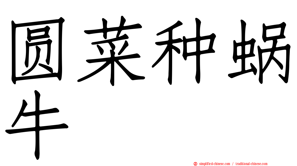 圆菜种蜗牛