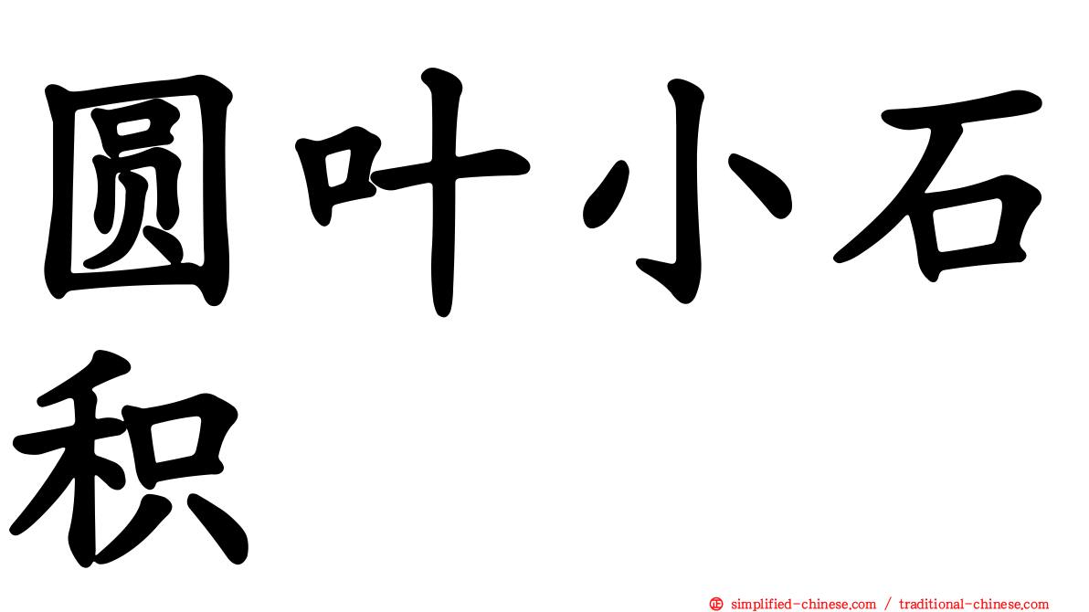 圆叶小石积
