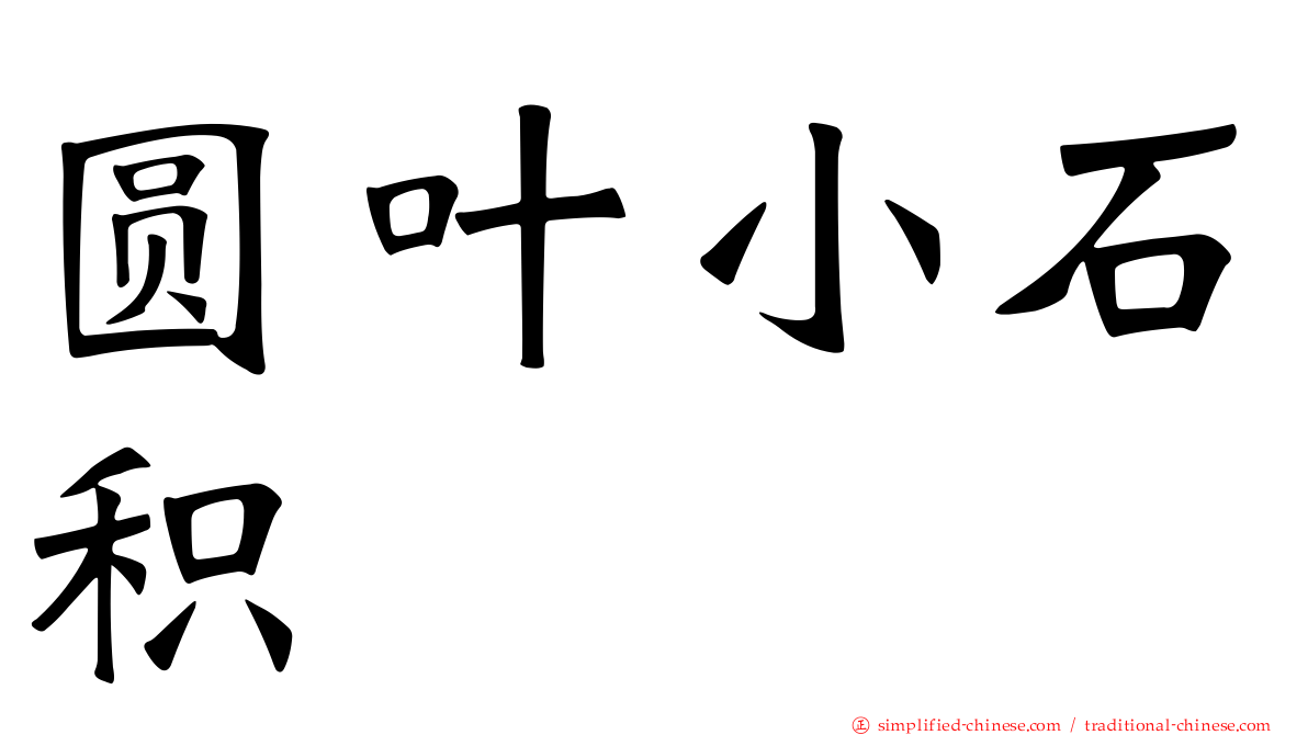 圆叶小石积