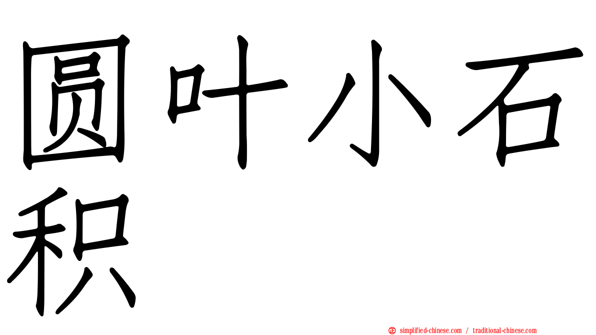 圆叶小石积