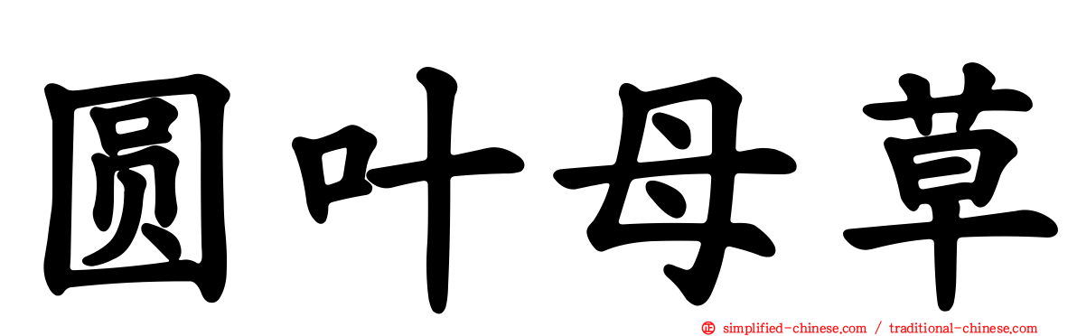 圆叶母草
