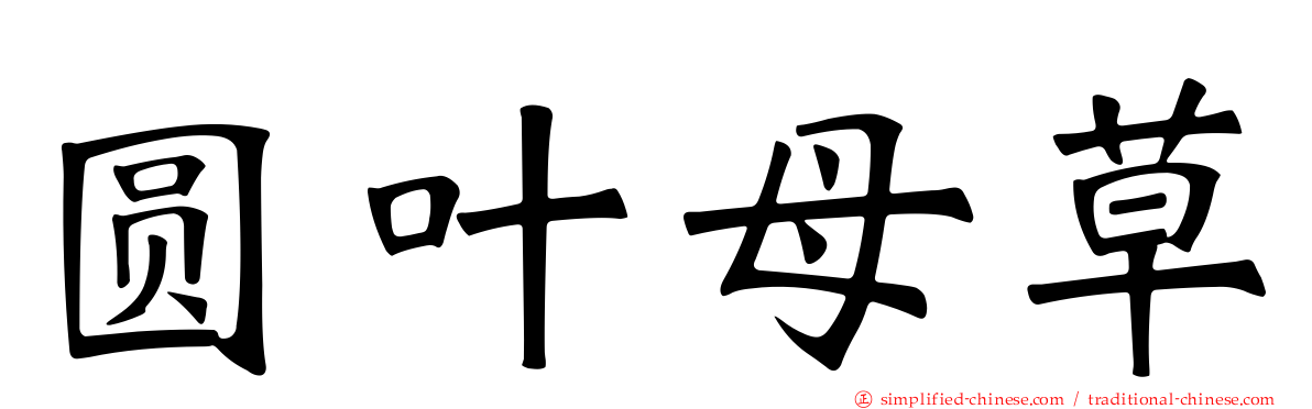 圆叶母草