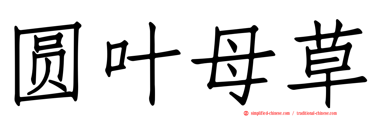 圆叶母草