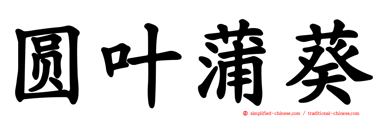 圆叶蒲葵