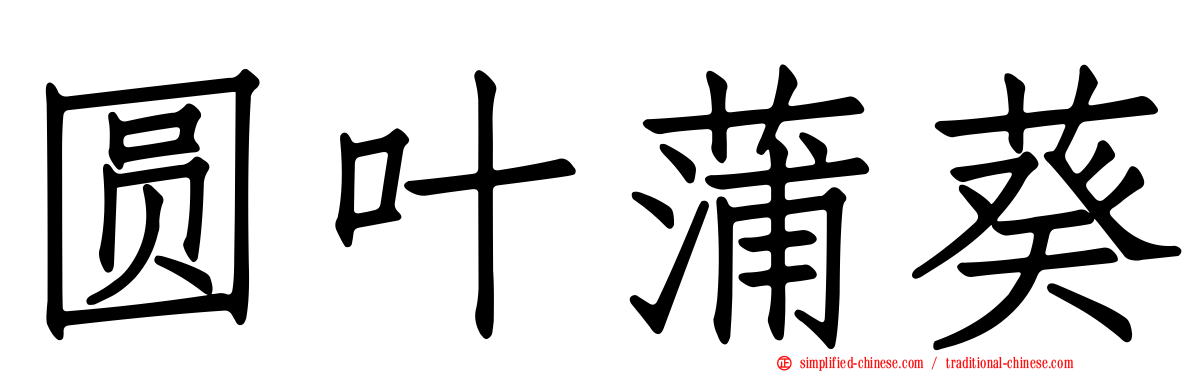 圆叶蒲葵