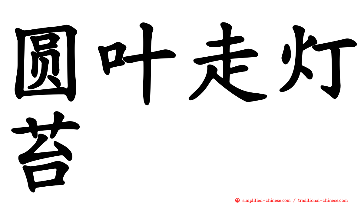 圆叶走灯苔