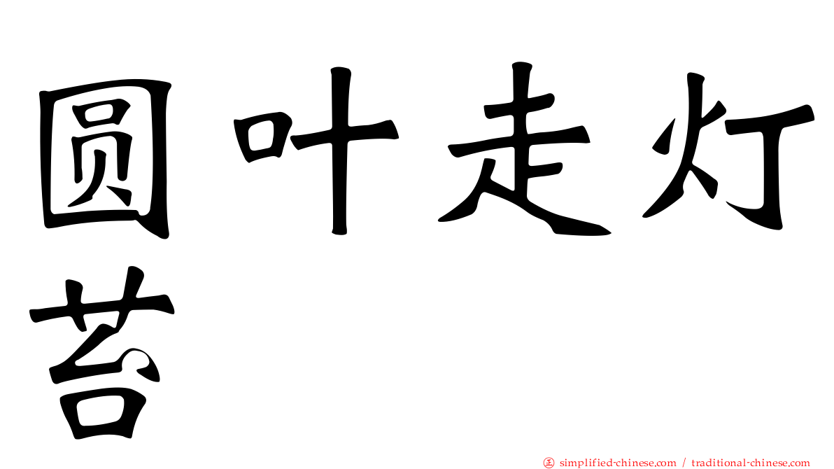 圆叶走灯苔